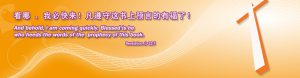 Banner1 300x78